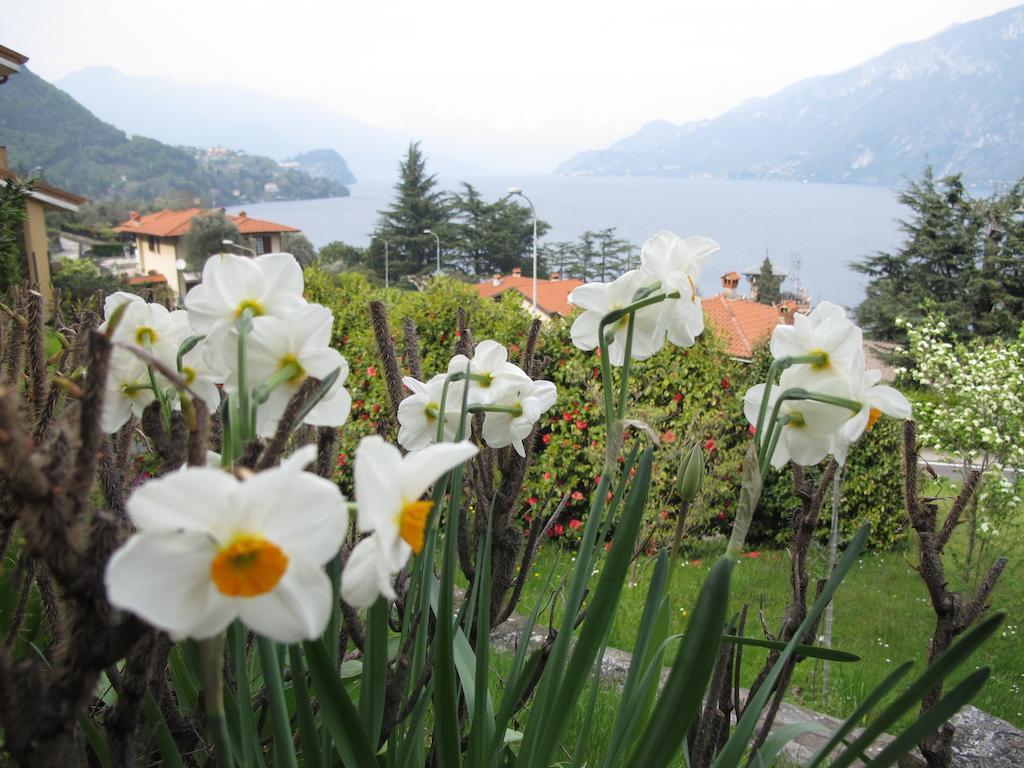 Villa Panorama Oliveto Lario Exterior foto